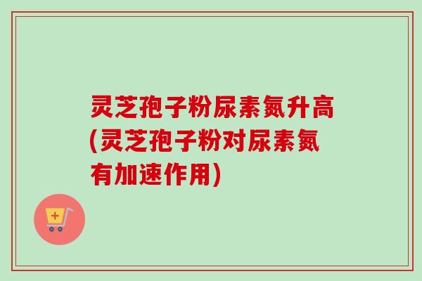 灵芝孢子粉尿素氮升高(灵芝孢子粉对尿素氮有加速作用)