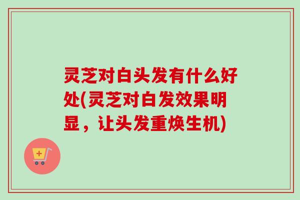 灵芝对白头发有什么好处(灵芝对白发效果明显,让头发重焕生机) 灵芝对白头发有什么好处(灵芝对白发效果明显,让头发重焕生机)