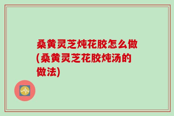 桑黄灵芝炖花胶怎么做(桑黄灵芝花胶炖汤的做法)