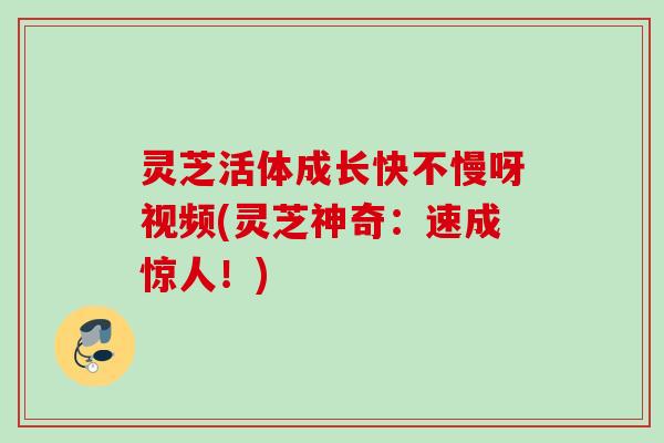 灵芝活体成长快不慢呀视频(灵芝神奇：速成惊人！)