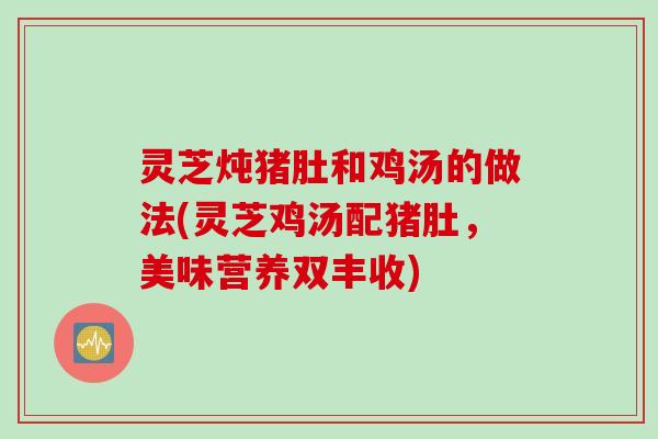 灵芝炖猪肚和鸡汤的做法(灵芝鸡汤配猪肚，美味营养双丰收)