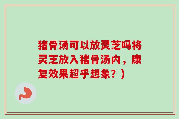 猪骨汤可以放灵芝吗将灵芝放入猪骨汤内，康复效果超乎想象？)