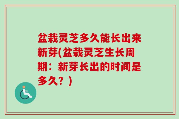 盆栽灵芝多久能长出来新芽(盆栽灵芝生长周期：新芽长出的时间是多久？)