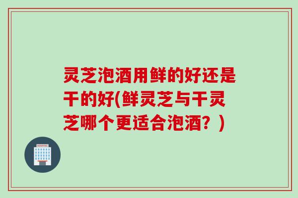 灵芝泡酒用鲜的好还是干的好(鲜灵芝与干灵芝哪个更适合泡酒?)