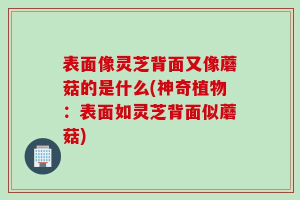 表面像灵芝背面又像蘑菇的是什么(神奇植物：表面如灵芝背面似蘑菇)