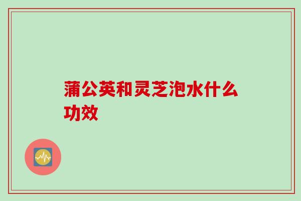蒲公英和灵芝泡水什么功效