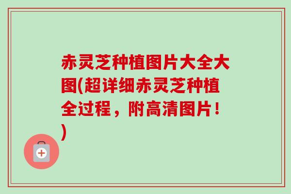 赤灵芝种植图片大全大图(超详细赤灵芝种植全过程，附高清图片！)