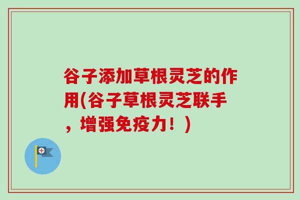 谷子添加草根灵芝的作用(谷子草根灵芝联手，增强免疫力！)