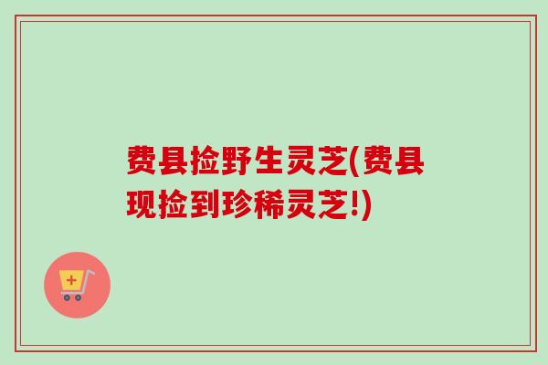 费县捡野生灵芝(费县现捡到珍稀灵芝!)