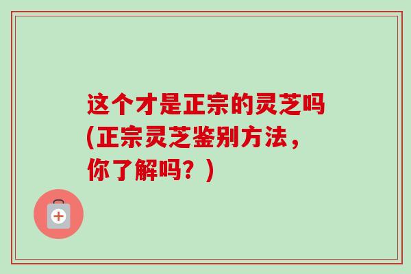 这个才是正宗的灵芝吗(正宗灵芝鉴别方法，你了解吗？)