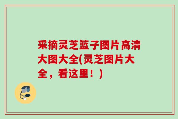 采摘灵芝篮子图片高清大图大全(灵芝图片大全，看这里！)