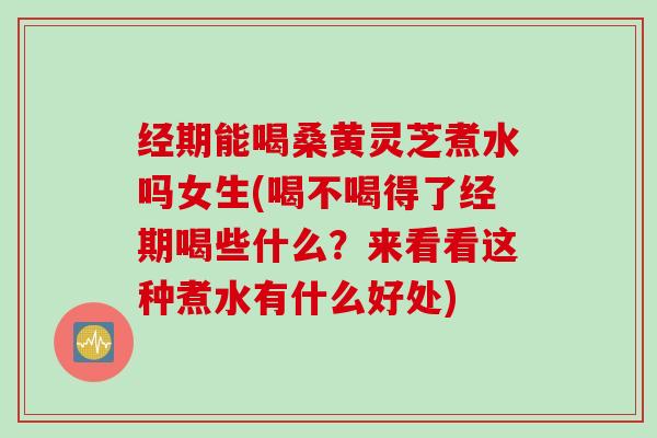 经期能喝桑黄灵芝煮水吗女生(喝不喝得了经期喝些什么？来看看这种煮水有什么好处)