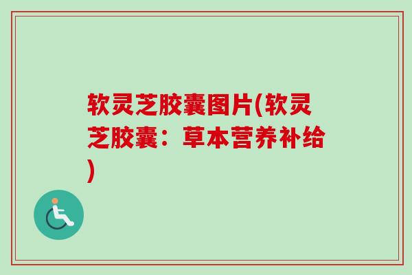 软灵芝胶囊图片(软灵芝胶囊：草本营养补给)