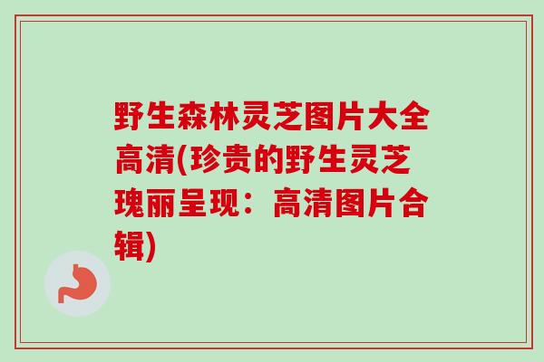 野生森林灵芝图片大全高清(珍贵的野生灵芝瑰丽呈现：高清图片合辑)