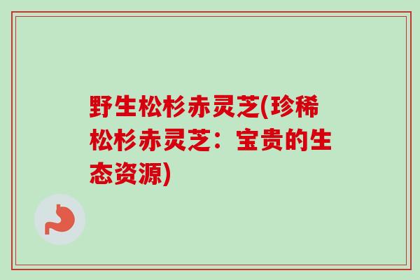 野生松杉赤灵芝(珍稀松杉赤灵芝：宝贵的生态资源)