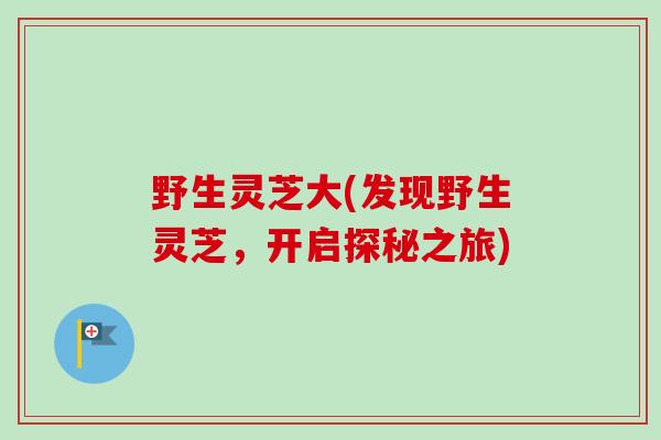 野生灵芝大(发现野生灵芝，开启探秘之旅)