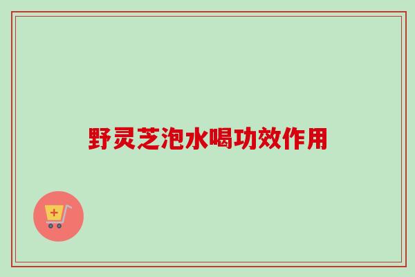 野灵芝泡水喝功效作用