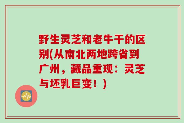 野生灵芝和老牛干的区别(从南北两地跨省到广州，藏品重现：灵芝与坯乳巨变！)