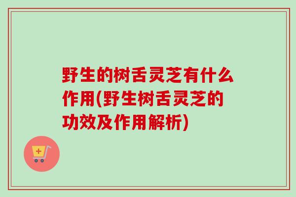 野生的树舌灵芝有什么作用(野生树舌灵芝的功效及作用解析)
