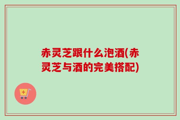 赤灵芝跟什么泡酒(赤灵芝与酒的完美搭配)
