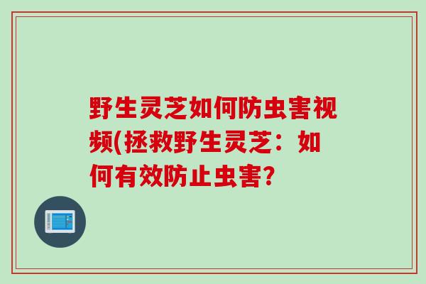 野生灵芝如何防虫害视频(拯救野生灵芝：如何有效防止虫害？