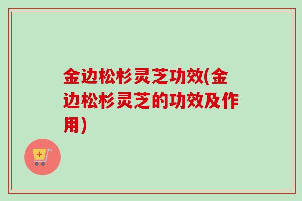 金边松杉灵芝功效(金边松杉灵芝的功效及作用)