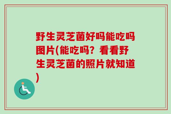野生灵芝菌好吗能吃吗图片(能吃吗？看看野生灵芝菌的照片就知道)