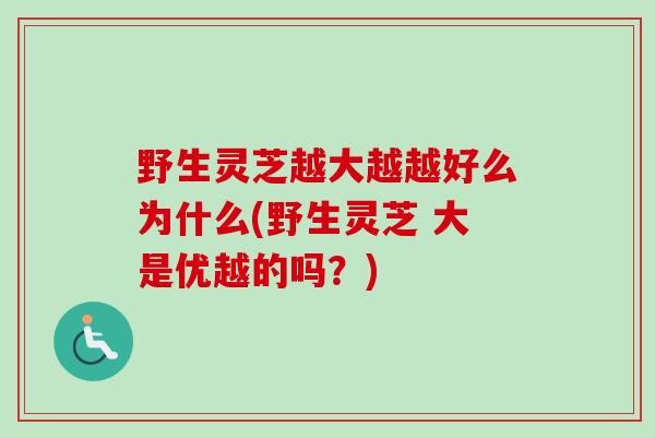 野生灵芝越大越越好么为什么(野生灵芝 大是优越的吗？)