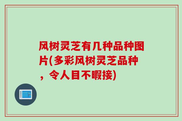 风树灵芝有几种品种图片(多彩风树灵芝品种，令人目不暇接)
