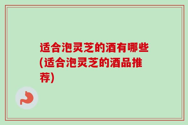 适合泡灵芝的酒有哪些(适合泡灵芝的酒品推荐)