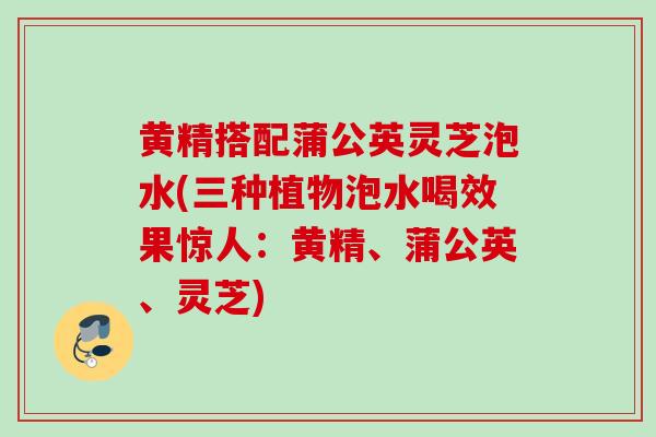 黄精搭配蒲公英灵芝泡水(三种植物泡水喝效果惊人：黄精、蒲公英、灵芝)