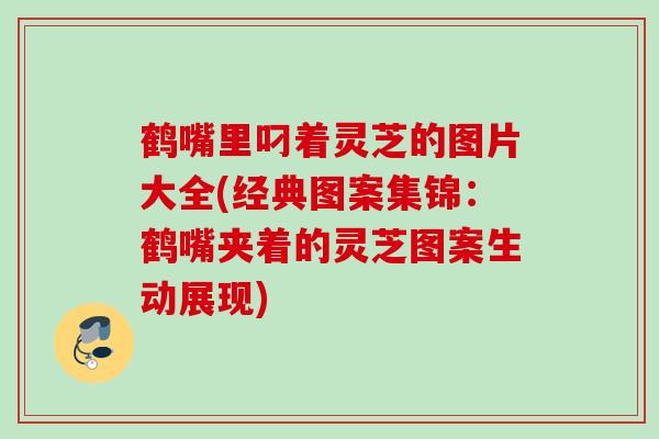 鹤嘴里叼着灵芝的图片大全(经典图案集锦：鹤嘴夹着的灵芝图案生动展现)