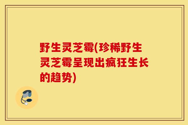 野生灵芝霉(珍稀野生灵芝霉呈现出疯狂生长的趋势)