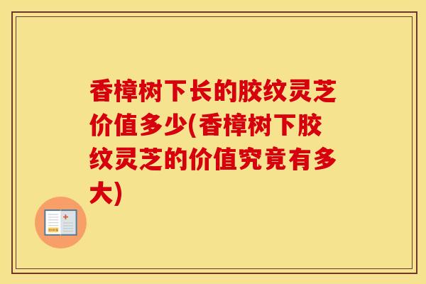 香樟树下长的胶纹灵芝价值多少(香樟树下胶纹灵芝的价值究竟有多大)
