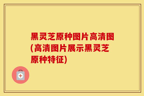 黑灵芝原种图片高清图(高清图片展示黑灵芝原种特征)