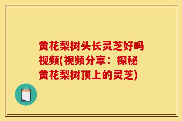 黄花梨树头长灵芝好吗视频(视频分享：探秘黄花梨树顶上的灵芝)