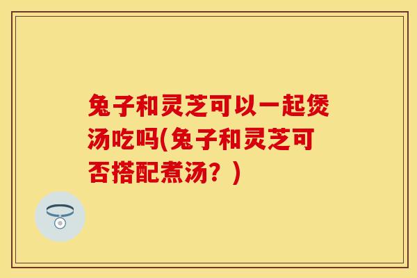 兔子和灵芝可以一起煲汤吃吗(兔子和灵芝可否搭配煮汤？)