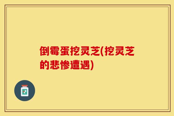 倒霉蛋挖灵芝(挖灵芝的悲惨遭遇)