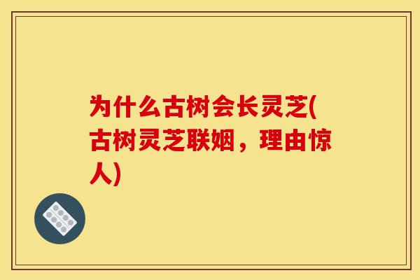 为什么古树会长灵芝(古树灵芝联姻，理由惊人)