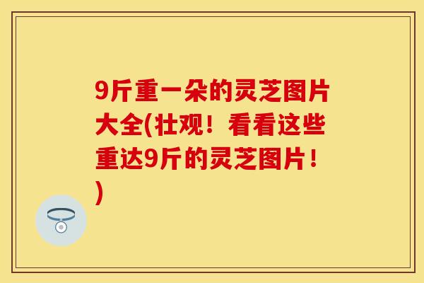 9斤重一朵的灵芝图片大全(壮观！看看这些重达9斤的灵芝图片！)