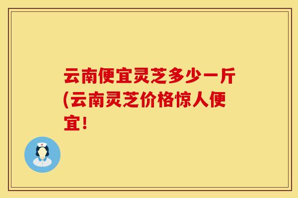 云南便宜灵芝多少一斤(云南灵芝价格惊人便宜！