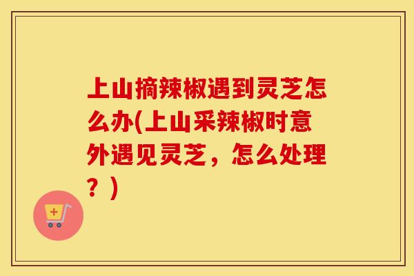 上山摘辣椒遇到灵芝怎么办(上山采辣椒时意外遇见灵芝，怎么处理？)