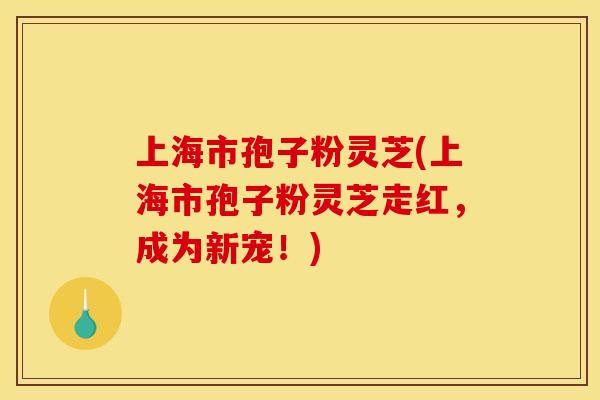 上海市孢子粉灵芝(上海市孢子粉灵芝走红，成为新宠！)