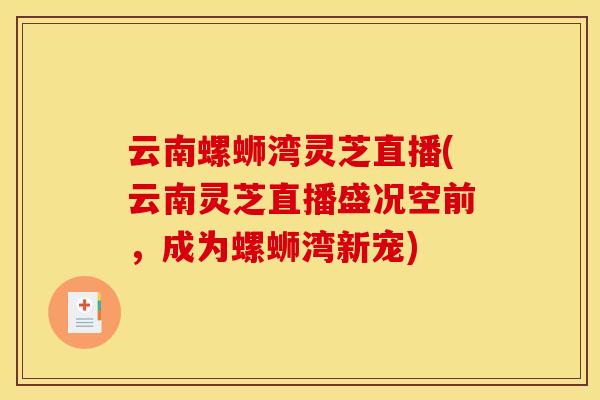 云南螺蛳湾灵芝直播(云南灵芝直播盛况空前，成为螺蛳湾新宠)