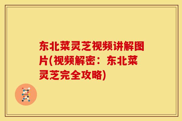 东北菜灵芝视频讲解图片(视频解密：东北菜灵芝完全攻略)