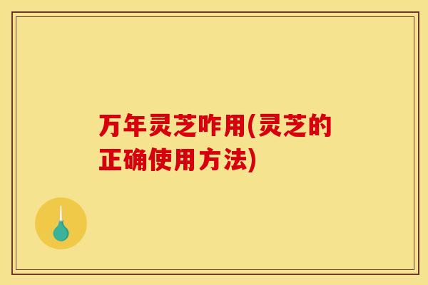 万年灵芝咋用(灵芝的正确使用方法)