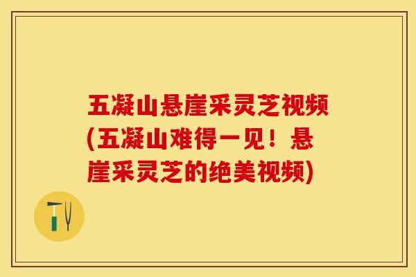 五凝山悬崖采灵芝视频(五凝山难得一见！悬崖采灵芝的绝美视频)