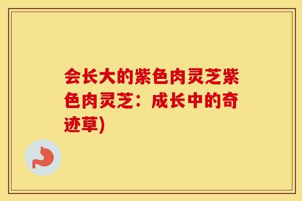 会长大的紫色肉灵芝紫色肉灵芝：成长中的奇迹草)
