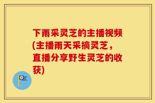 下雨采灵芝的主播视频(主播雨天采摘灵芝，直播分享野生灵芝的收获)
