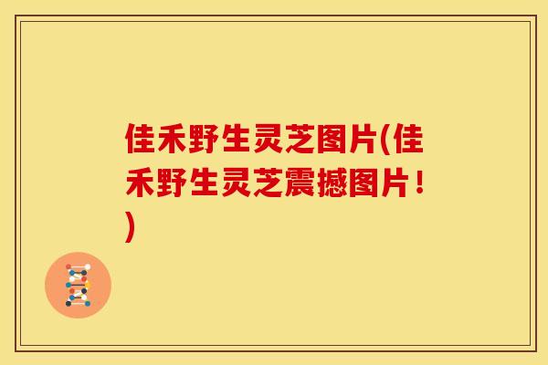 佳禾野生灵芝图片(佳禾野生灵芝震撼图片！)